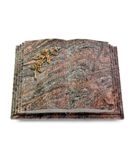 Livre Pagina/Orion Rose 5 (Bronze)