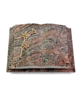 Livre Pagina/Orion Rose 9 (Bronze)