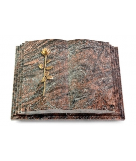 Livre Pagina/Orion Rose 12 (Bronze)