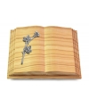 Livre Pagina/Rainbow Rose 9 (Alu)