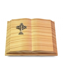 Livre Pagina/Rainbow Baum 2 (Bronze)