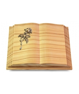 Livre Pagina/Rainbow Rose 2 (Bronze)