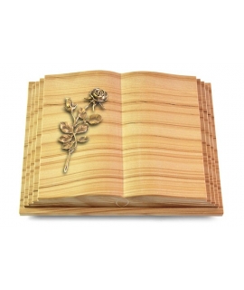 Livre Pagina/Rainbow Rose 13 (Bronze)