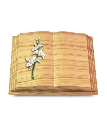 Livre Pagina/Rainbow Orchidee (Color)