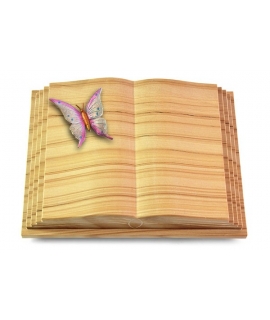Livre Pagina/Rainbow Papillon 1 (Color)