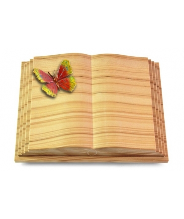 Livre Pagina/Rainbow Papillon 2 (Color)