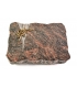 Himalaya Delta Taube (Bronze)