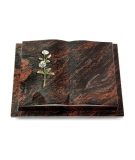 Livre Podest/Rainbow Rose 8 (Color)