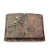 Livre Podest/Aruba Rose 8 (Color)