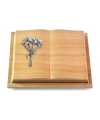 Livre Podest/Rainbow Lilie (Alu)