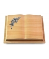 Livre Podest/Rainbow Rose 5 (Alu)
