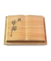 Livre Podest/Rainbow Rose 9 (Bronze)