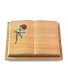 Livre Podest/Rainbow Rose 2 (Color)