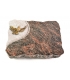 Himalaya Folio Papillon (Bronze)