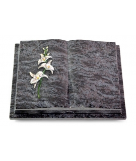Livre Podest Folia/Indisch Black Orchidee (Color)