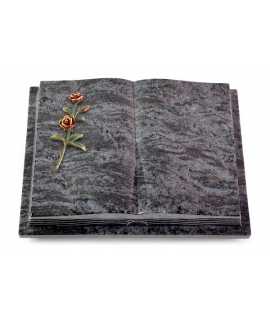 Livre Podest Folia/Indisch Black Rose 6 (Color)
