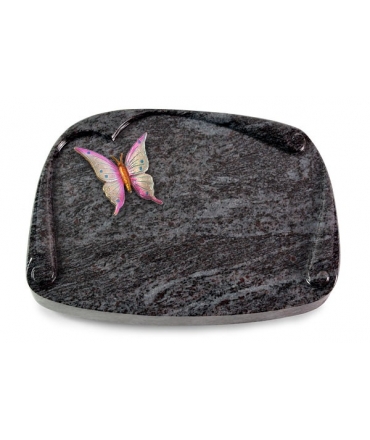 Papyros/Indisch Black Papillon 1 (Color)