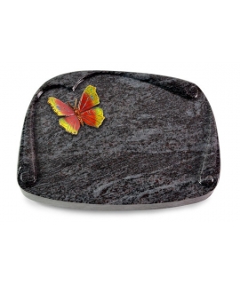 Papyros/Indisch Black Papillon 2 (Color)