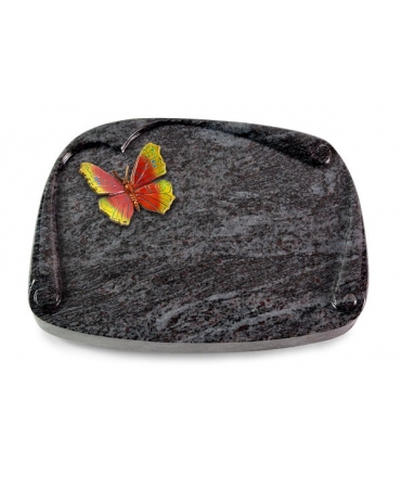 Papyros/Indisch Black Papillon 2 (Color)