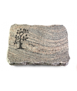 Indisch Black Pure Baum 1