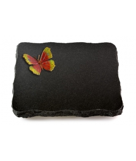 Indisch Black Pure Papillon 1 (Color)