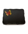 Indisch Black Pure Papillon 1 (Color)