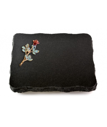 Indisch Black Pure Rose 6 (Color)