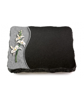 Indisch Black Strikt Orchidee (Color)