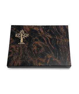 Aruba Pure Baum 2 (Bronze)