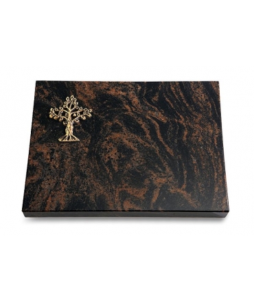 Aruba Pure Baum 2 (Bronze)