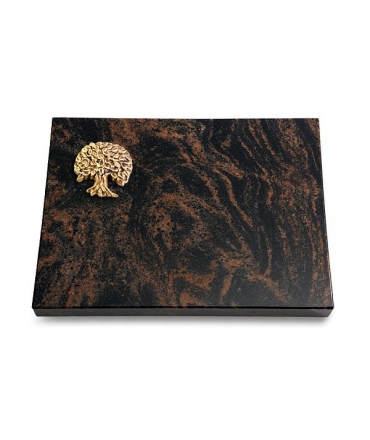 Aruba Pure Baum 3 (Bronze)