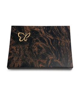 Aruba Pure Papillon (Bronze)