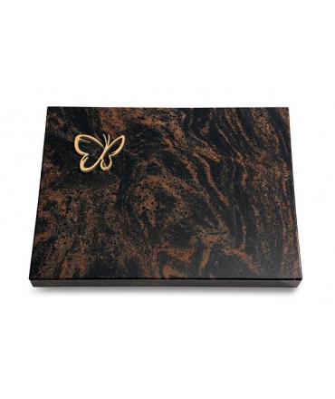 Aruba Pure Papillon (Bronze)