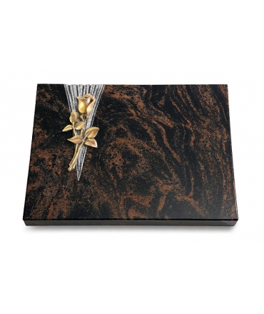 Aruba Delta Rose 8 (Bronze)