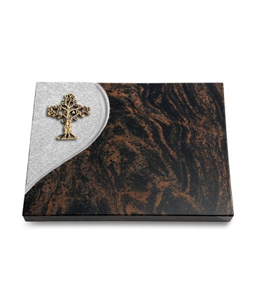 Aruba Folio Baum 2 (Bronze)