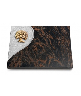 Aruba Folio Baum 3 (Bronze)