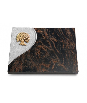 Aruba Folio Baum 3 (Bronze)