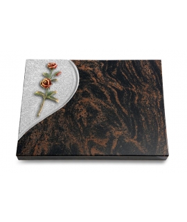 Aruba Folio Rose 6 (Color)