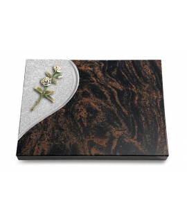 Aruba Folio Rose 8 (Color)