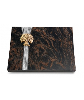 Aruba Strikt Baum 3 (Bronze)