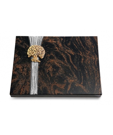 Aruba Strikt Baum 3 (Bronze)