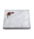 Grabtafel Kashmir Pure Rose 1 (Color)