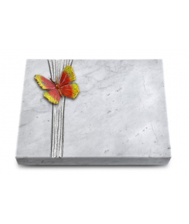 Grabtafel Kashmir Strikt Papillon 2 (Color)