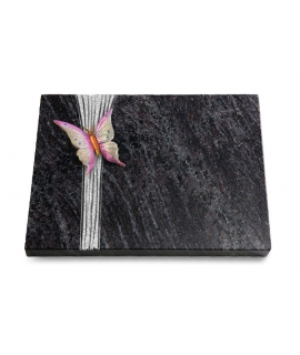 Grabtafel Kashmir Strikt Papillon 1 (Color)