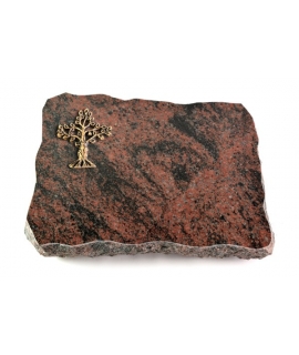 Aruba Pure Baum 1 (Bronze)