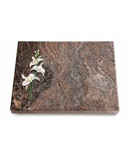 Grabtafel Orion Pure Orchidee (Color)