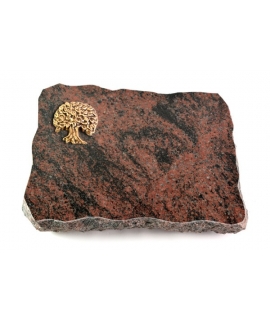 Aruba Pure Baum 2 (Bronze)
