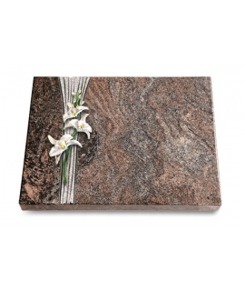 Grabtafel Orion Strikt Orchidee (Color)