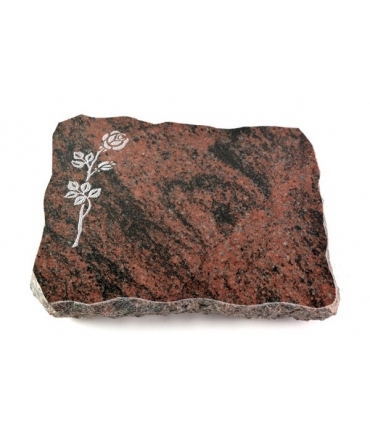 Aruba Pure Rose 2