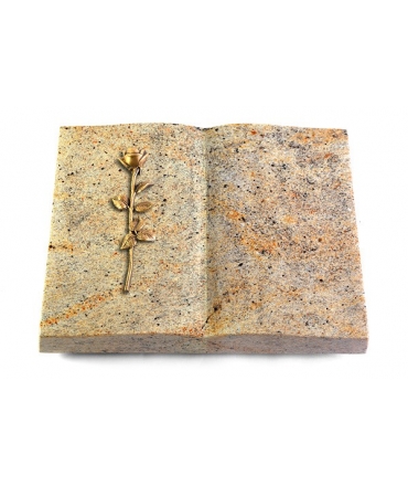 Livre/New Kashmir Rose 11 (Bronze)